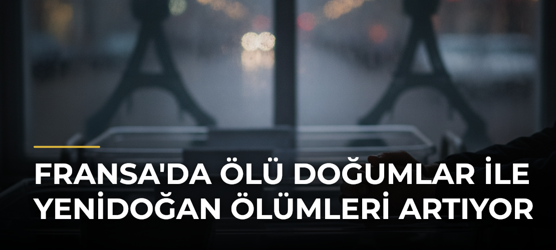 Fransa'da Ölü Doğumlar ile Yenidoğan Ölümleri Artıyor - Haber Sitesi