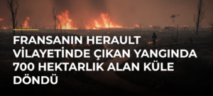 Fransanın Herault vilayetinde çıkan yangında 700 hektarlık alan küle döndü