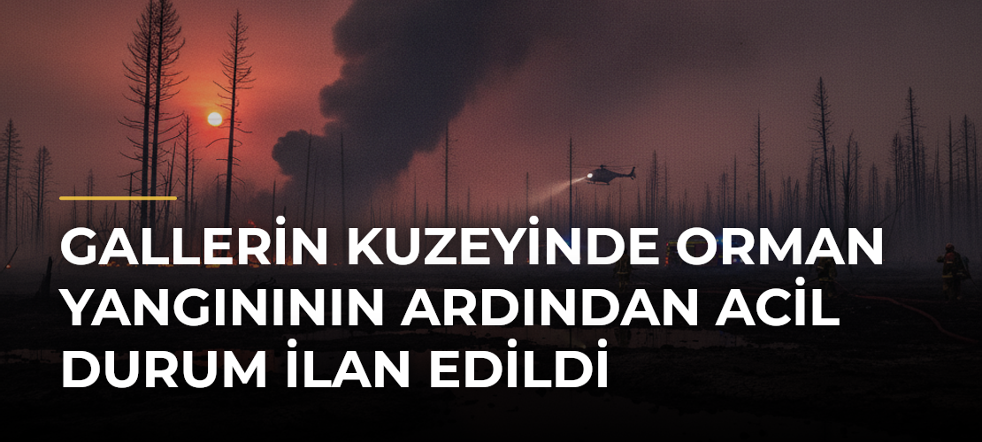 Gallerin kuzeyinde orman yangınının ardından acil durum ilan edildi - Mirat Haber