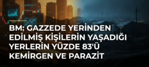 BM: Gazzede yerinden edilmiş kişilerin yaşadığı yerlerin yüzde 83’ü kemirgen ve parazit istilası altında