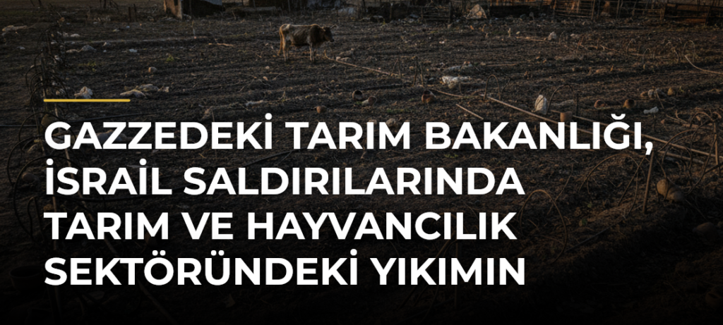 Gazzedeki Tarım Bakanlığı, İsrail saldırılarında tarım ve hayvancılık sektöründeki yıkımın boyutunu açıkladı