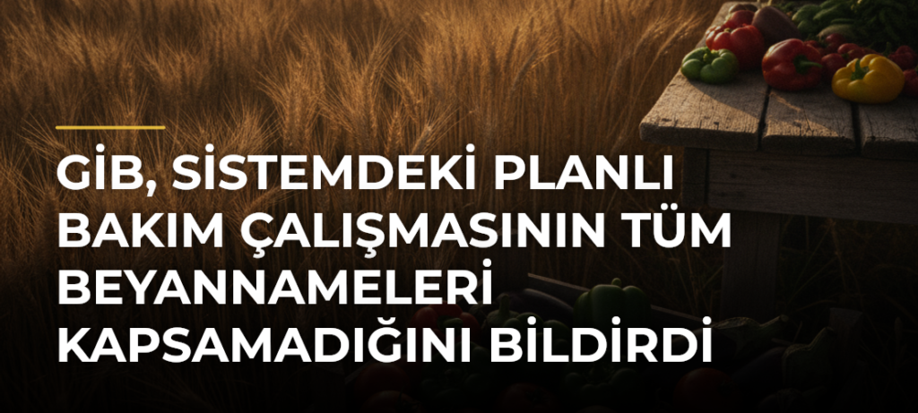 GİB, sistemdeki planlı bakım çalışmasının tüm beyannameleri kapsamadığını bildirdi