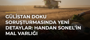 Gülistan Doku soruşturmasında yeni detaylar: Handan Sonel’in mal varlığı
