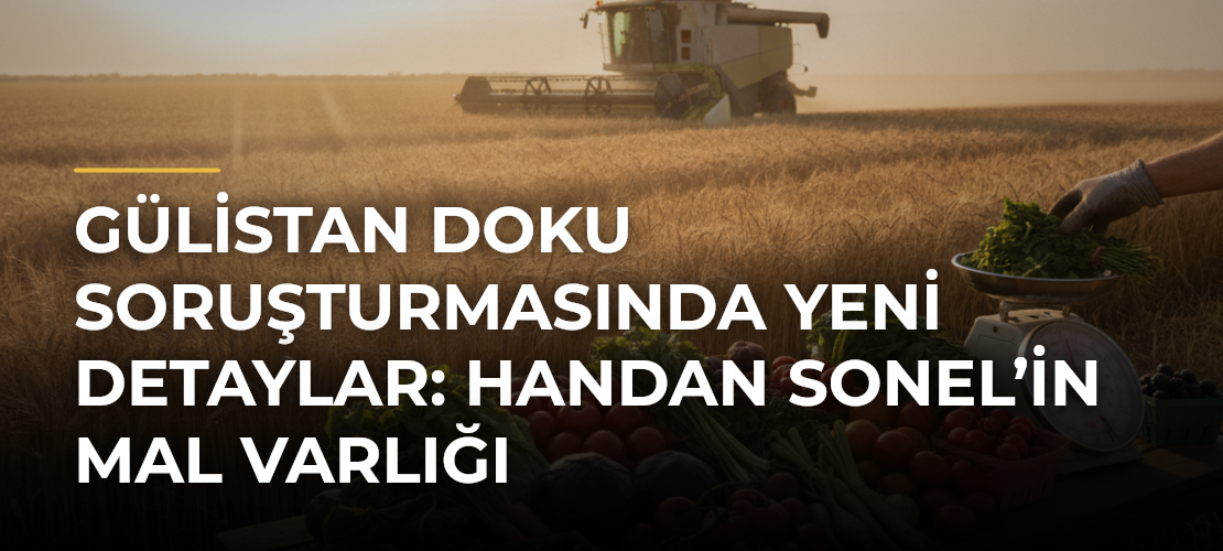 Gülistan Doku soruşturmasında yeni detaylar: Handan Sonel’in mal varlığı - Mirat Haber