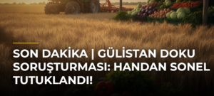 SON DAKİKA | Gülistan Doku soruşturması: Handan Sonel tutuklandı!