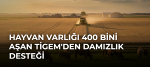 Hayvan varlığı 400 bini aşan TİGEM’den damızlık desteği
