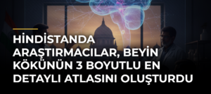 Hindistanda araştırmacılar, beyin kökünün 3 boyutlu en detaylı atlasını oluşturdu