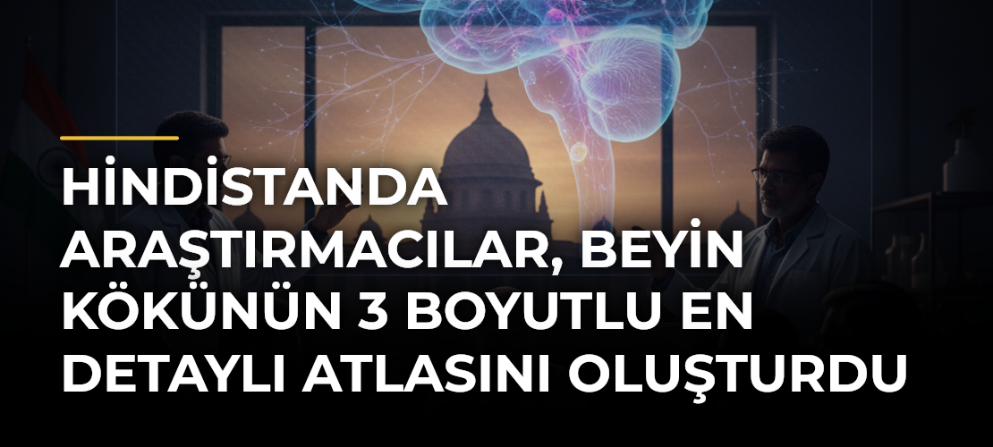Hindistanda araştırmacılar, beyin kökünün 3 boyutlu en detaylı atlasını oluşturdu