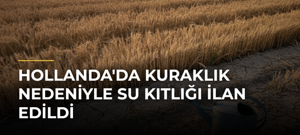 Hollanda’da kuraklık nedeniyle su kıtlığı ilan edildi