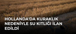 Hollanda’da kuraklık nedeniyle su kıtlığı ilan edildi