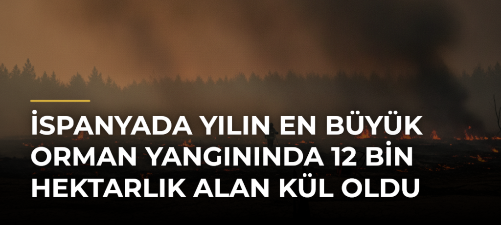 İspanyada yılın en büyük orman yangınında 12 bin hektarlık alan kül oldu