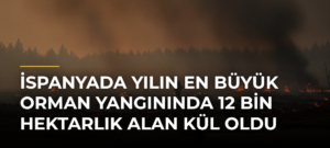 İspanyada yılın en büyük orman yangınında 12 bin hektarlık alan kül oldu