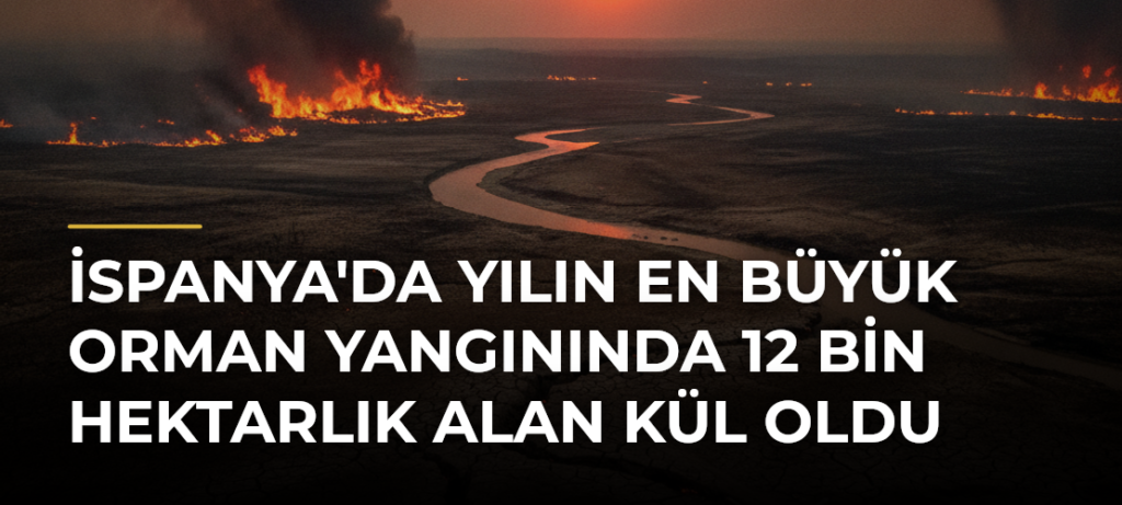 İspanya’da yılın en büyük orman yangınında 12 bin hektarlık alan kül oldu