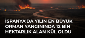 İspanya’da yılın en büyük orman yangınında 12 bin hektarlık alan kül oldu