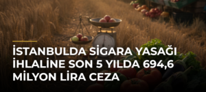 İstanbulda sigara yasağı ihlaline son 5 yılda 694,6 milyon lira ceza