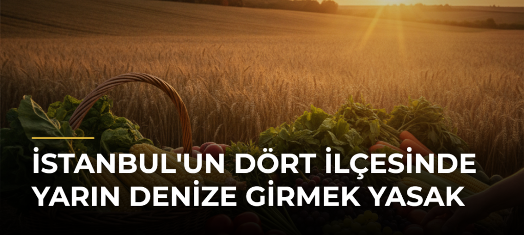 İstanbul’un Dört İlçesinde Yarın Denize Girmek Yasak