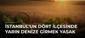 İstanbul’un Dört İlçesinde Yarın Denize Girmek Yasak