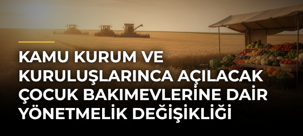 Kamu kurum ve kuruluşlarınca açılacak çocuk bakımevlerine dair yönetmelik değişikliği Resmi Gazetede