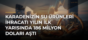 Karadenizin su ürünleri ihracatı yılın ilk yarısında 186 milyon doları aştı