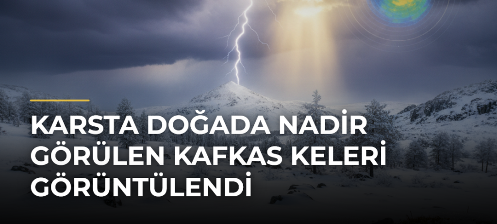 Karsta doğada nadir görülen Kafkas keleri görüntülendi
