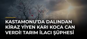 Kastamonu’da dalından kiraz yiyen karı koca can verdi! Tarım ilacı şüphesi