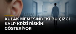 Kulak memesindeki bu çizgi kalp krizi riskini gösteriyor