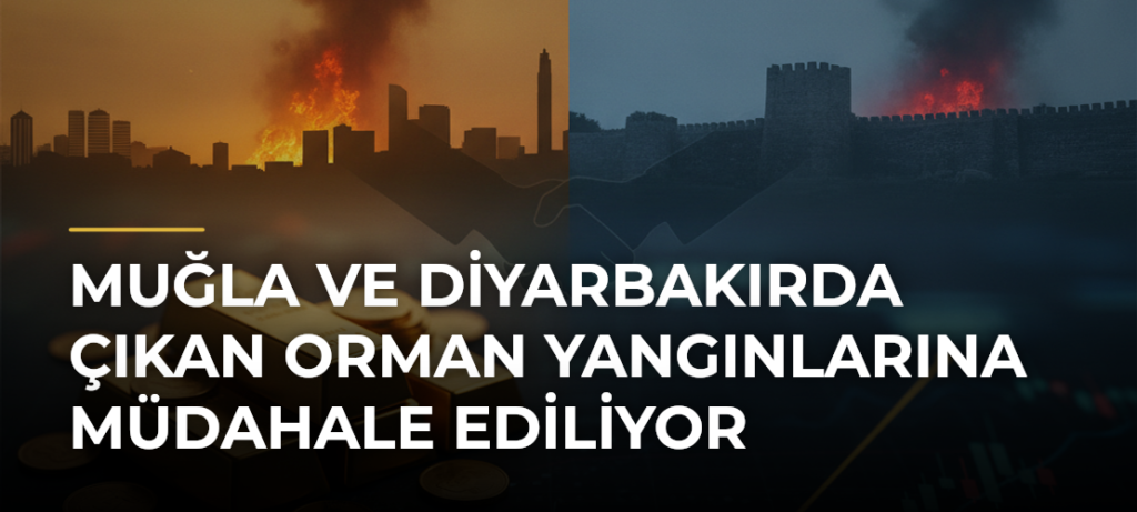 Muğla ve Diyarbakırda çıkan orman yangınlarına müdahale ediliyor