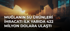 Muğlanın su ürünleri ihracatı ilk yarıda 422 milyon dolara ulaştı