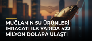 Muğlanın su ürünleri ihracatı ilk yarıda 422 milyon dolara ulaştı