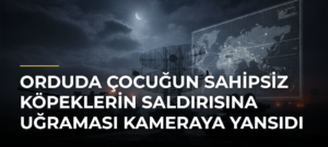Orduda çocuğun sahipsiz köpeklerin saldırısına uğraması kameraya yansıdı