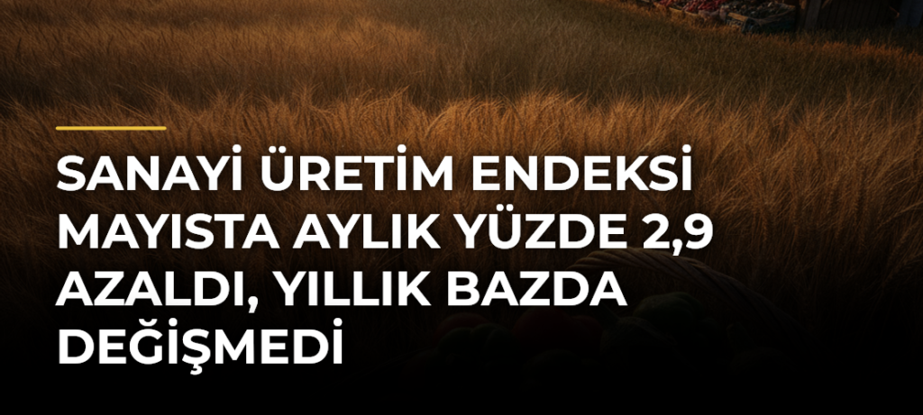 Sanayi üretim endeksi mayısta aylık yüzde 2,9 azaldı, yıllık bazda değişmedi