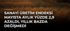 Sanayi üretim endeksi mayısta aylık yüzde 2,9 azaldı, yıllık bazda değişmedi