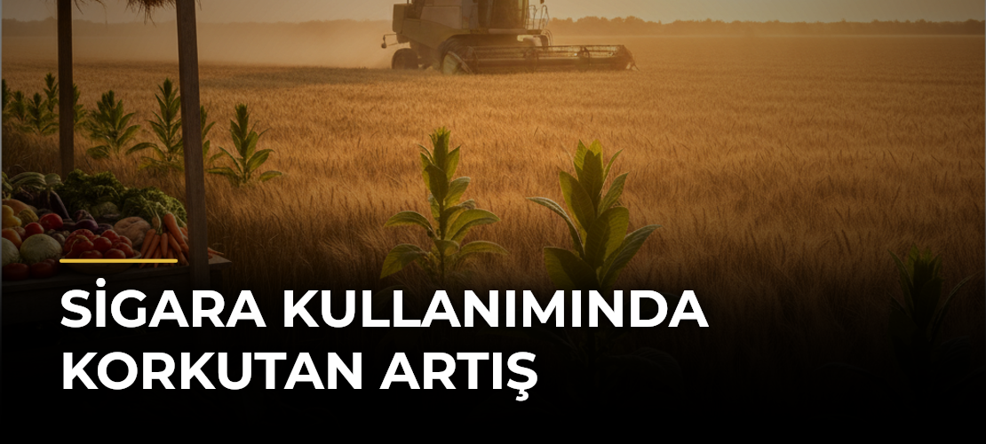 Sigara kullanımında korkutan artış