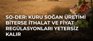 SO-DER: Kuru Soğan Üretimi Biterse İthalat ve Fiyat Regülasyonları Yetersiz Kalır