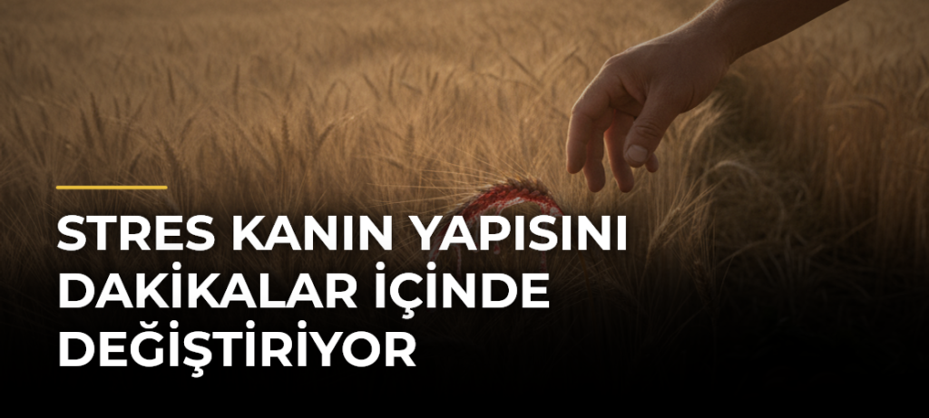 Stres Kanın Yapısını Dakikalar İçinde Değiştiriyor