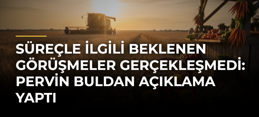 Süreçle İlgili Beklenen Görüşmeler Gerçekleşmedi: Pervin Buldan Açıklama Yaptı