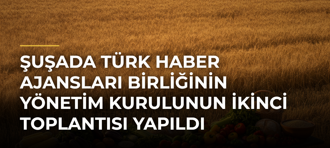 Şuşada Türk Haber Ajansları Birliğinin Yönetim Kurulunun İkinci Toplantısı Yapıldı - Haber Sitesi