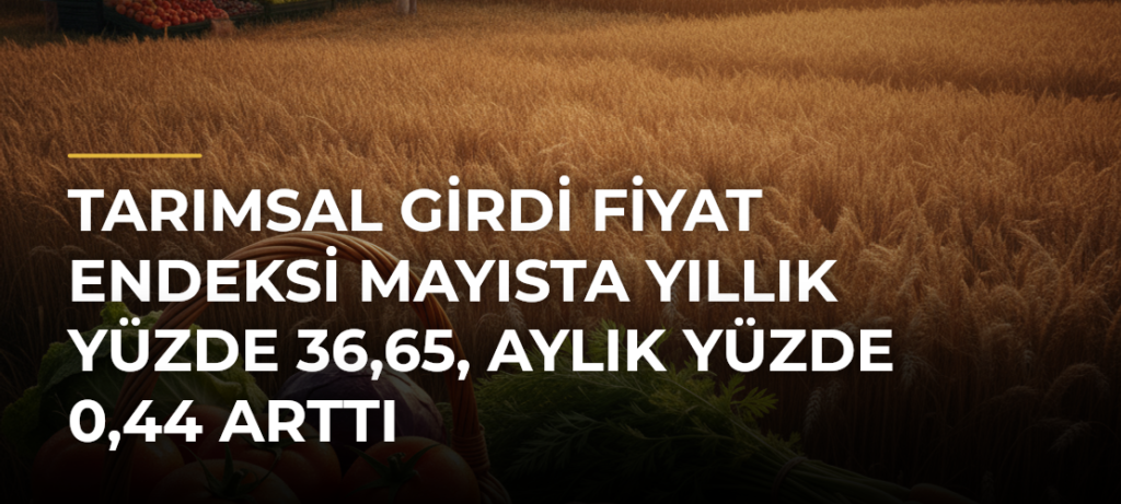 Tarımsal girdi fiyat endeksi mayısta yıllık yüzde 36,65, aylık yüzde 0,44 arttı