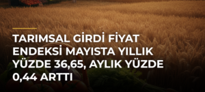 Tarımsal girdi fiyat endeksi mayısta yıllık yüzde 36,65, aylık yüzde 0,44 arttı