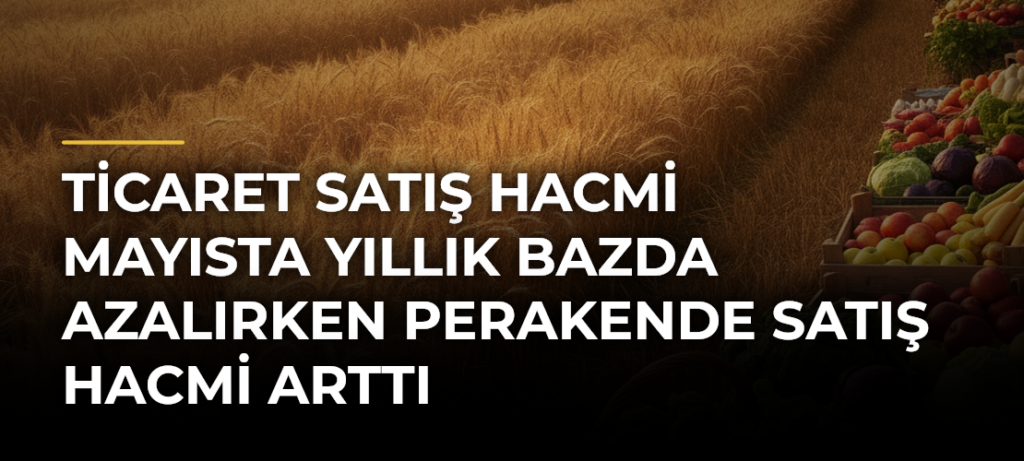 Ticaret satış hacmi mayısta yıllık bazda azalırken perakende satış hacmi arttı