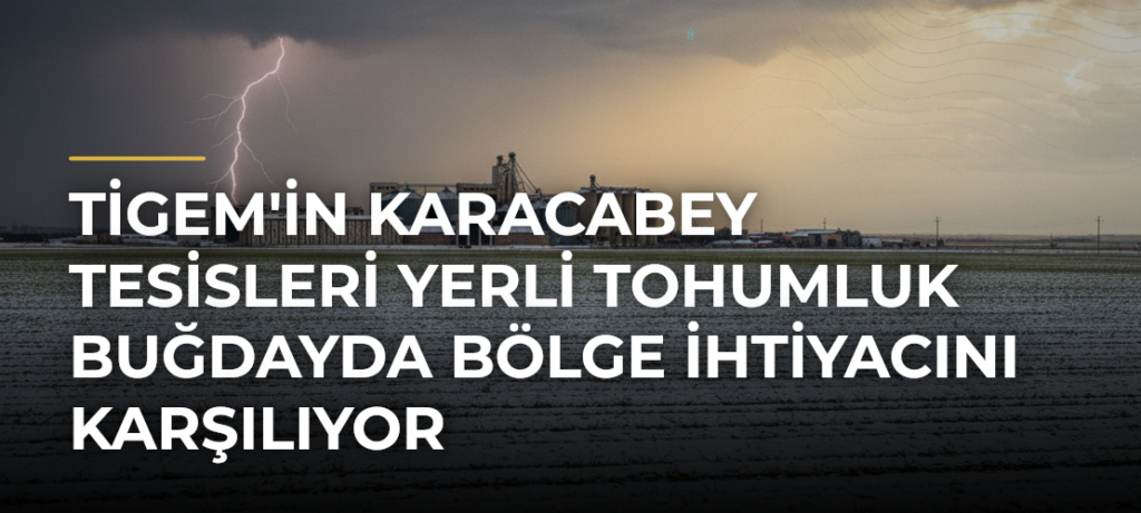 TİGEM’in Karacabey Tesisleri Yerli Tohumluk Buğdayda Bölge İhtiyacını Karşılıyor
