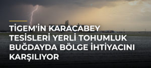 TİGEM’in Karacabey Tesisleri Yerli Tohumluk Buğdayda Bölge İhtiyacını Karşılıyor