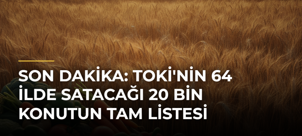 SON DAKİKA: TOKİ’nin 64 İlde Satacağı 20 Bin Konutun Tam Listesi