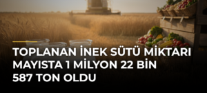 Toplanan inek sütü miktarı mayısta 1 milyon 22 bin 587 ton oldu