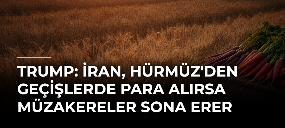 Trump: İran, Hürmüz'den geçişlerde para alırsa müzakereler sona erer