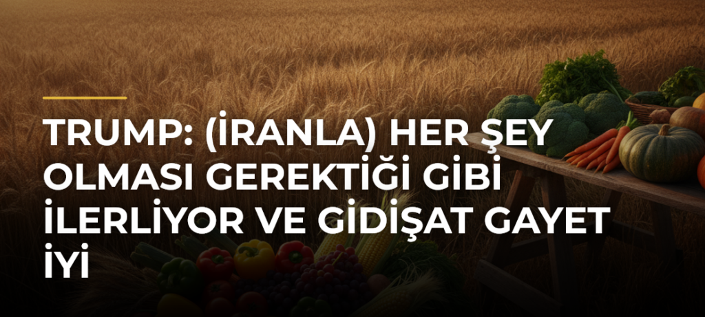 Trump: (İranla) Her şey olması gerektiği gibi ilerliyor ve gidişat gayet iyi
