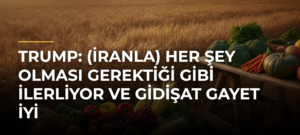 Trump: (İranla) Her şey olması gerektiği gibi ilerliyor ve gidişat gayet iyi