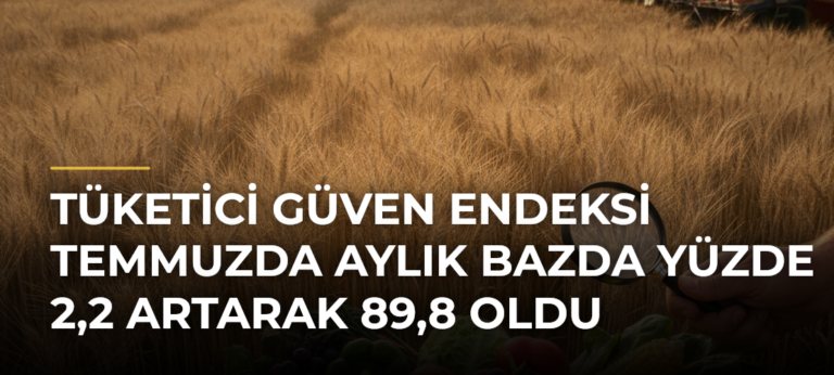 Tüketici güven endeksi temmuzda aylık bazda yüzde 2,2 artarak 89,8 oldu