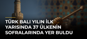 Türk balı yılın ilk yarısında 37 ülkenin sofralarında yer buldu