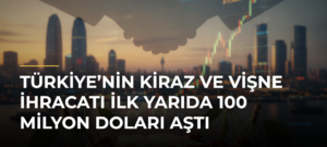 Türkiye’nin Kiraz ve Vişne İhracatı İlk Yarıda 100 Milyon Doları Aştı